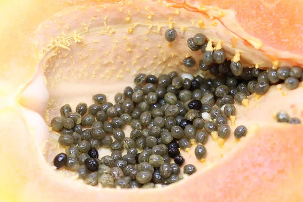 Lezzetli ve sağlıklı papaya tohumu ile barışı kesti.