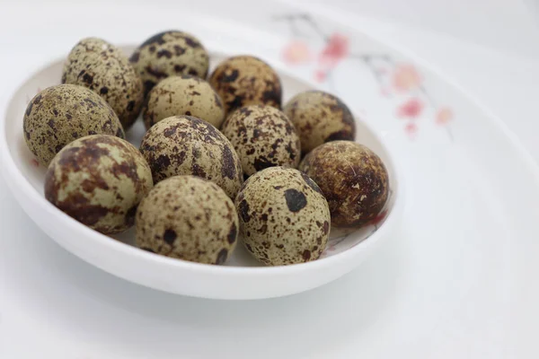 Savoureux Bouillon Œufs Oiseaux Sur Bol Pour Manger — Photo