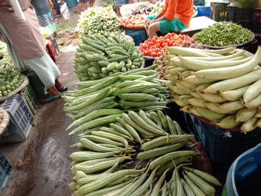 Piyasada taze ve sağlıklı sebze stoğu