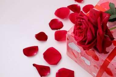 Sevgililer Günü hediye kutusunda aşk için gül ve taç yaprağı