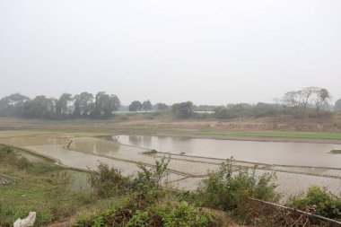 Doğayla iç içe güzel sulak alanlar.