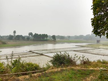 Doğayla iç içe güzel sulak alanlar.