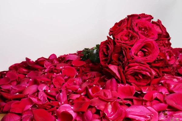 Rosa Buquê Closeup Estoque Pétalas Para Valentine — Fotografia de Stock