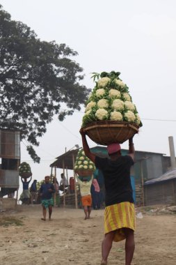 Taze ve çiğ karnabahar stoku ve satılık bir işçi.