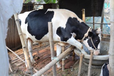 Siyah ve Beyaz Renkli Kapanış Firmaya