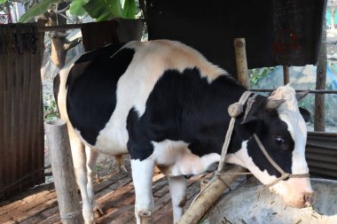 Siyah ve Beyaz Renkli Kapanış Firmaya