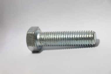 satış için beyaz arka planda fındık yakın plan