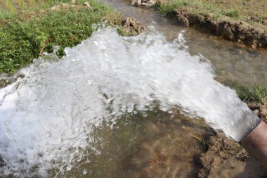Kanalizasyon için çeltik firmasının üzerine su sıçraması