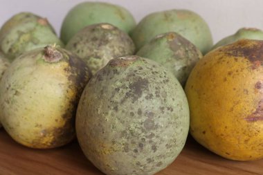 yeşil renkli olgun ahşap elma stoku satılıyor