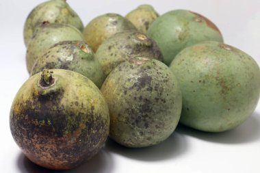 yeşil renkli olgun ahşap elma stoku satılıyor