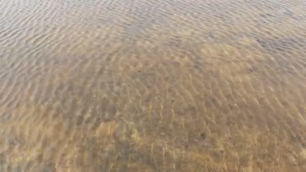 Imágenes Vista Río Con Agua Playa — Vídeo de stock