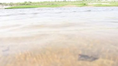 Su ve sahil manzaralı nehir manzaralı.