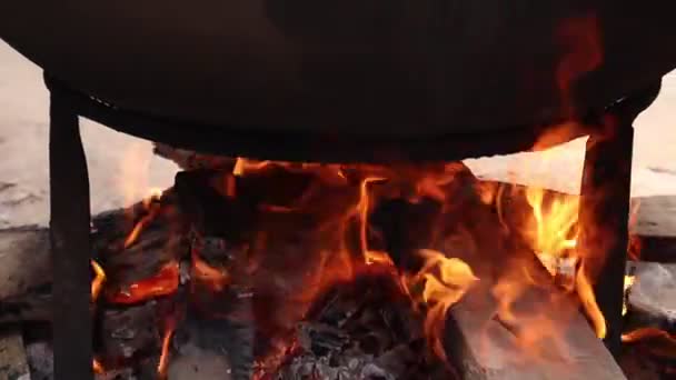 Tűz Felvételek Égő Bambusz — Stock videók
