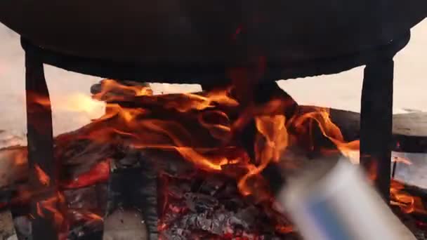 Tűz Felvételek Égő Bambusz — Stock videók