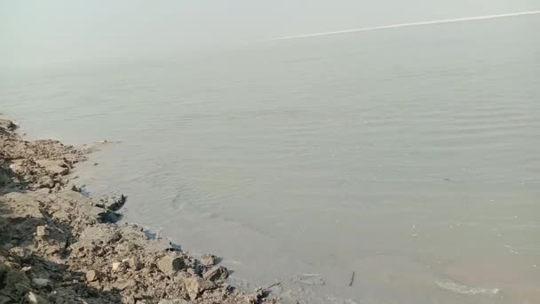 Widok Rzeki Materiał Filmowy Wodą Plażą — Wideo stockowe