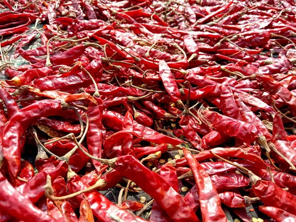 Red Hot Spicy Chili Stock Shop Sell — Stock Photo, Image