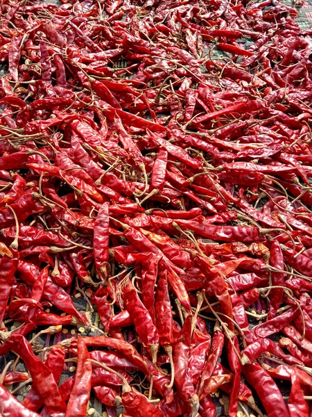 Rouge Bouillon Chili Chaud Épicé Sur Magasin Vendre — Photo