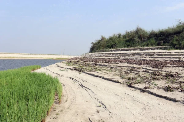 Vue Sur Lac Avec Entreprise Paddy Nature — Photo