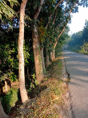 siyah renkli beton yol ulaşım için kapatılıyor