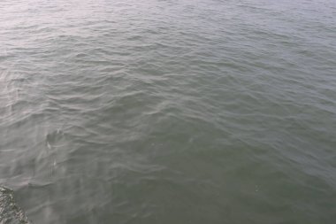 Su ve sahil manzaralı nehir manzarası