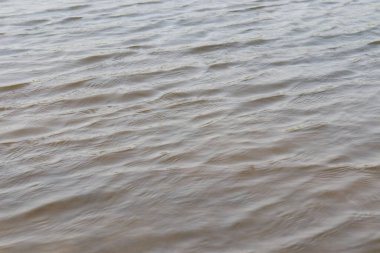 Su ve sahil manzaralı nehir manzarası