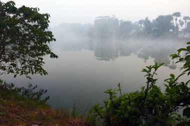Göl ve orman manzarası, gökyüzü kapalı bir sabah