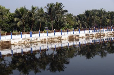 Güzel göl ve gökyüzü manzarası doğayla