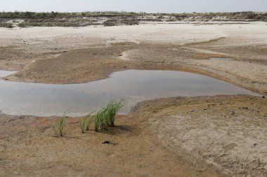 Güzel göl ve gökyüzü manzarası doğayla
