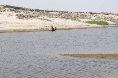 Güzel göl ve gökyüzü manzarası doğayla