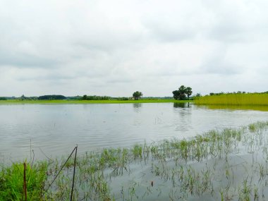 Göl ve mavi gökyüzü beyaz bulutlu