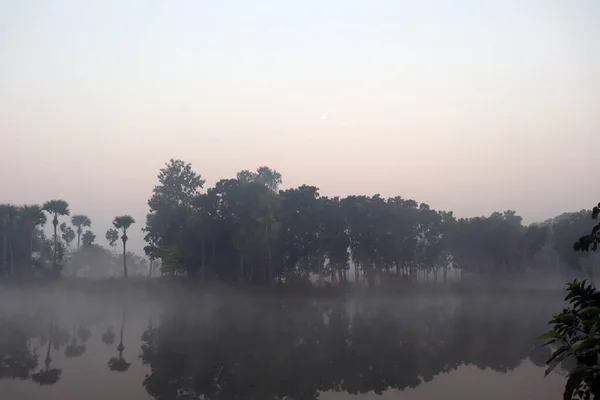 Vista Lago Floresta Com Céu Closeup Uma Manhã — Fotografia de Stock