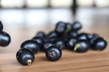 Lezzetli ve sağlıklı siyah java eriği stoku satışta.