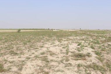 Doğa ve tarla ile güzel köy manzarası