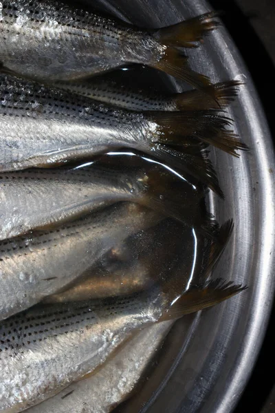 Brodo Pesce Saporito Sano Vendita — Foto Stock