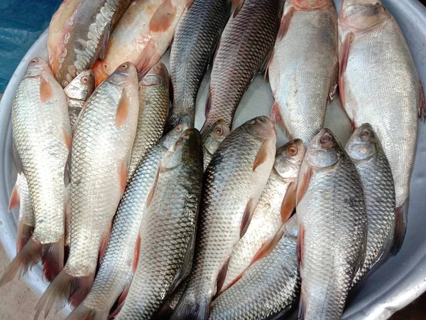 Caldo Pescado Sabroso Saludable Tienda Para Venta — Foto de Stock