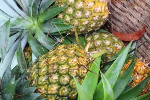 Smaczny Zdrowy Ananas Twardym Zbiorów Sprzedaży — Zdjęcie stockowe