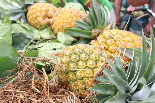 Smaczny Zdrowy Ananas Twardym Zbiorów Sprzedaży — Zdjęcie stockowe