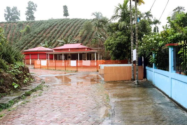 Une Maison Accueil Jardin Ananas Pour Acheteur Spectateur — Photo