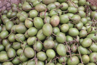 Elaeocarpus Serratus, Seylan zeytinlerinin satılık olduğunu da biliyordu. İshal önleyici, ağrı kesici, antidiyabetik, artritik aktivite, antioksidan, antimikrobik...