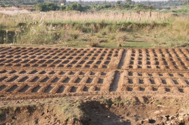 tarımsal toprak tarlası. Tarım için kullanılan bir arazi parçasıdır, ekin yetiştirmek gibi, çiftlik hayvanları yetiştirmek gibi, sürülen toprak, ekilen sıralar, çayırlar ile karakterize edilmiş, sık sık saban sürmekten, sulamadan örüntüler gösteren,