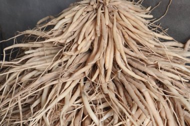 Satmak için dükkandaki kuşkonmaz eğreltiotu kökü stoku nakit mahsuldür. Tıbbi ve aromatik. Genellikle karminatif, sindirim, laktogog, idrar söktürücü, solunum ve sindirim bozukluklarının tedavisinde kullanılır.