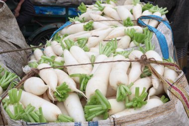 Satmak için satılan turplar nakit mahsuldür. Doğal nitratları, lifleri var. Bu da kan akışını iyileştirebilir. obeziteyi azaltabilir. Kabızlığı önlemek için iyidir.