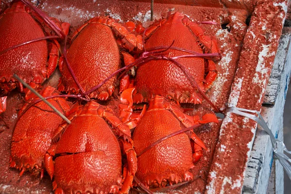 Seleção de caranguejos cozidos no mercado — Fotografia de Stock