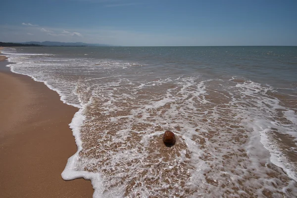 Coco na praia — Fotografia de Stock