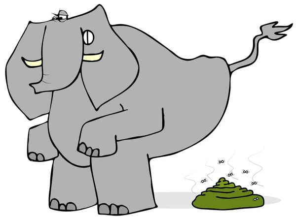 Elephant taking a crap — Stock Photo, Image