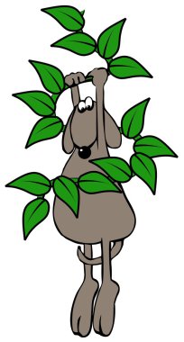 Köpek için bir asma asılı