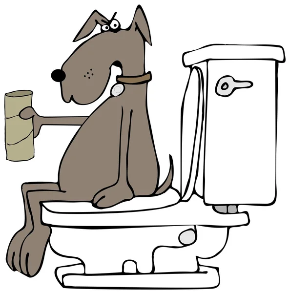 Stressed dog out of toilet paper — Stockfoto