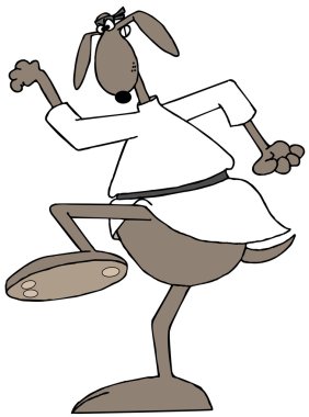 Bir karate yapıyor köpek tekme