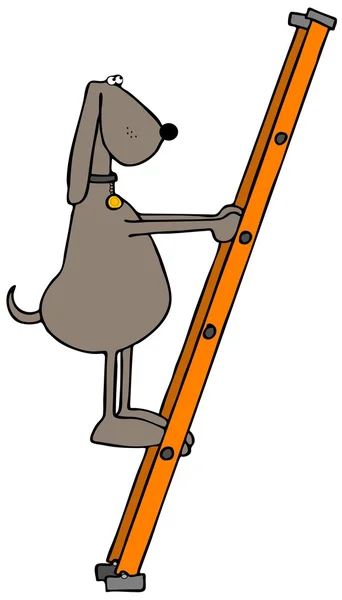 Dog climbing a ladder — Stock Photo, Image