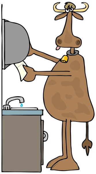 Kráva mytí jeho kopyta — Stock fotografie